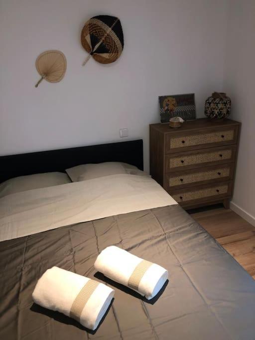 Appartement Cosy-Grand Stade Villeneuve D'Ascq Lezennes Exterior foto