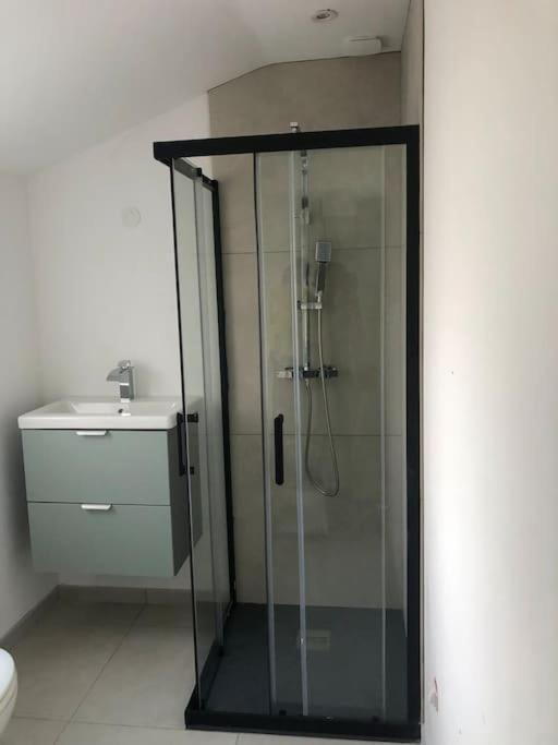 Appartement Cosy-Grand Stade Villeneuve D'Ascq Lezennes Exterior foto